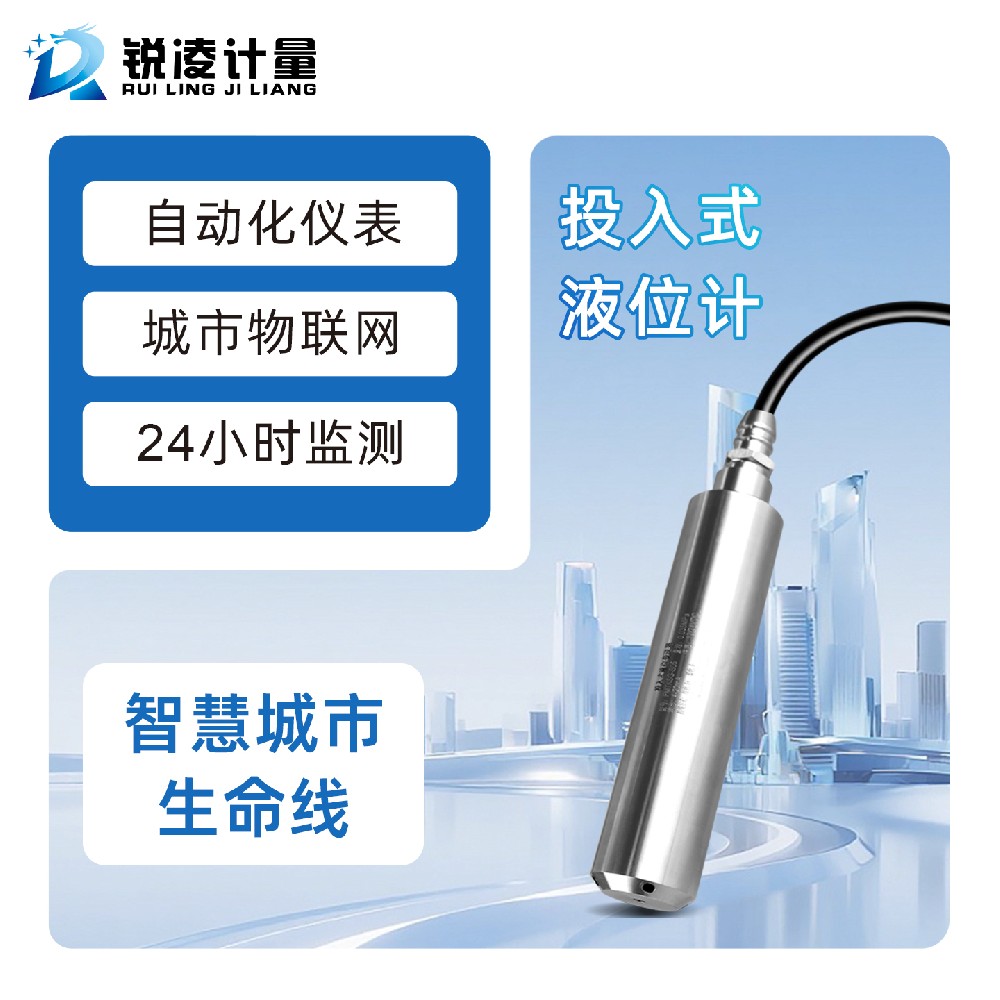 投入式液位计 1.jpg
